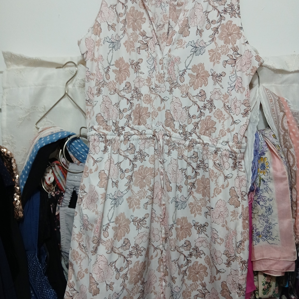 Ann Taylor Floral Dress in Pink and Cream